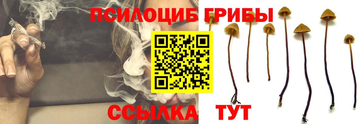 Кузнецк  Галлюциногенные грибы Psilocybine cubensis  Псилоцибиновые грибы Magic Shrooms  Вход с VPN 